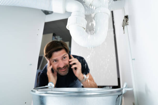 Best Commercial Plumbing Services  in Griggsvle, IL