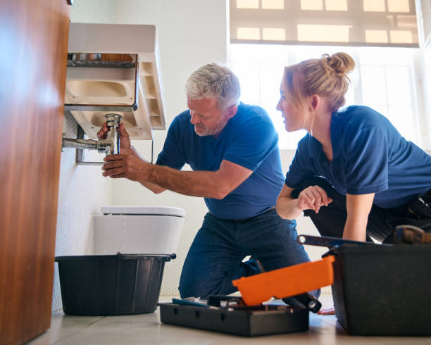 Best Septic Systems  in Griggsvle, IL